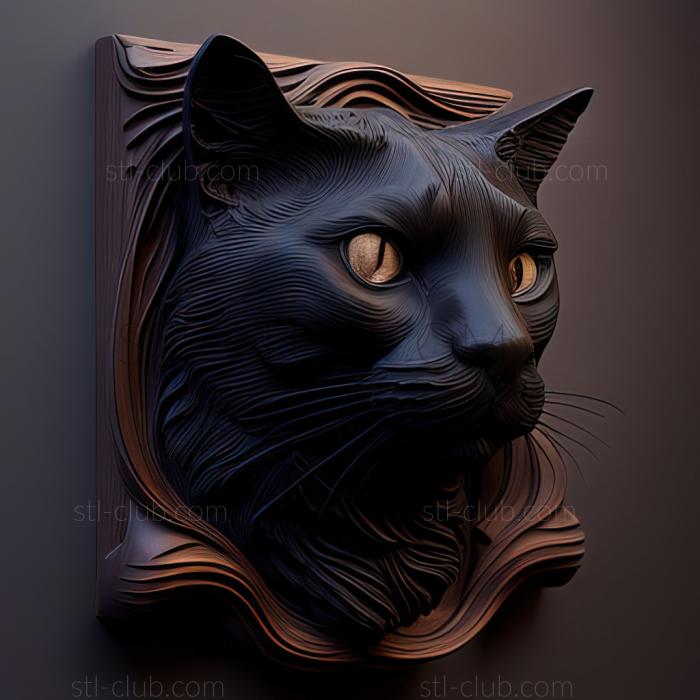 st Bombay cat